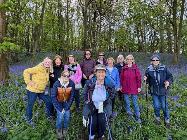 Bluebell walk